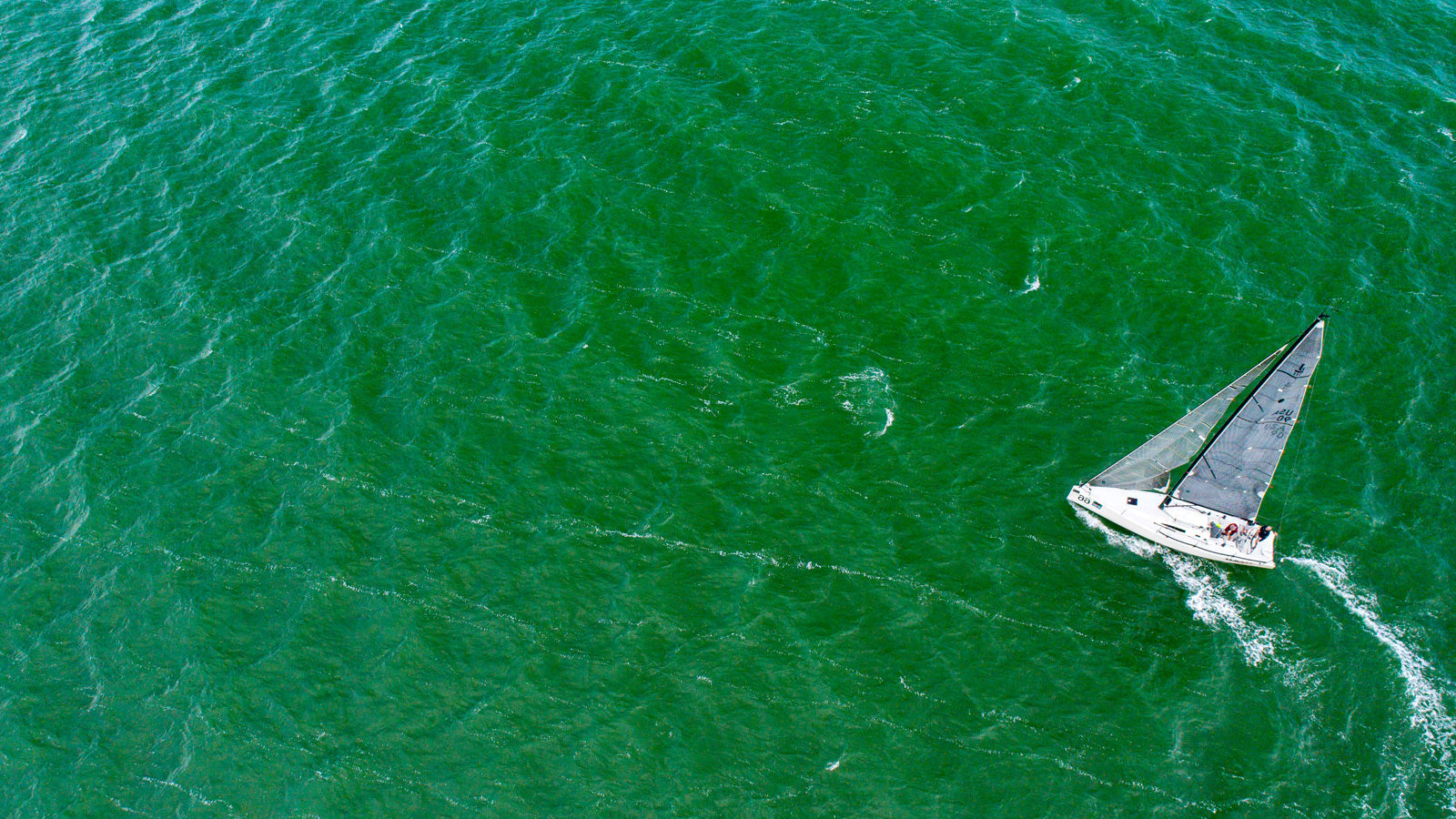 B&G Rudder Reference Sensors