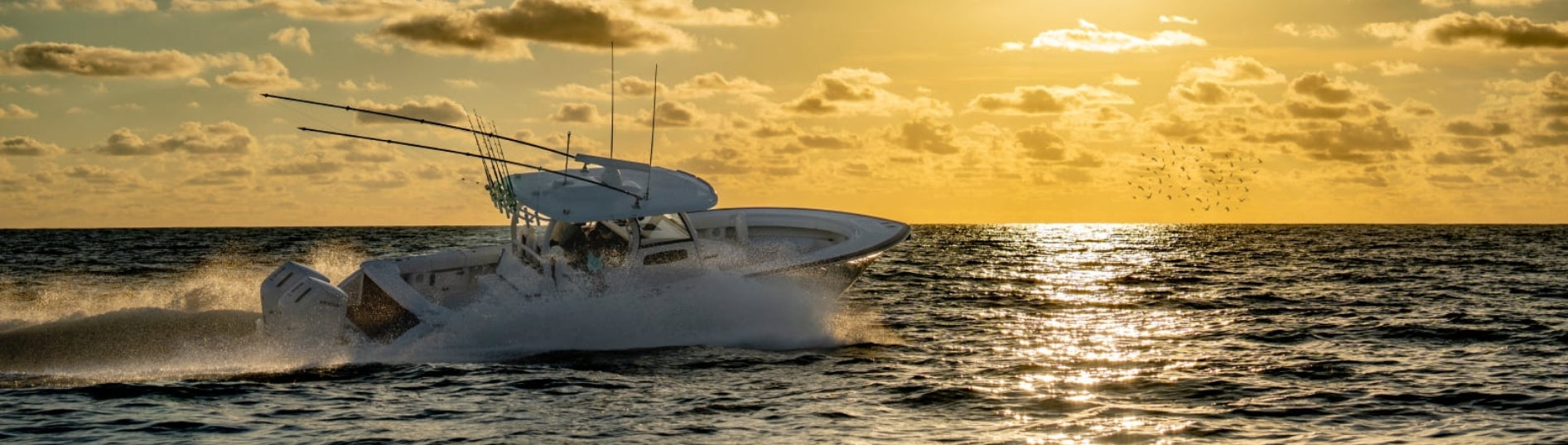 GARMIN SCANNING SONAR TRANSDUCERS