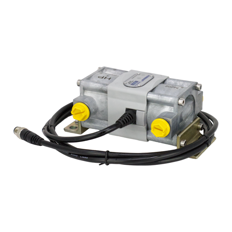 SmartFlex Diesel Flow Meter, 100-600 LPH, Dual-Chamber, Alloy Housing, Threaded Connections