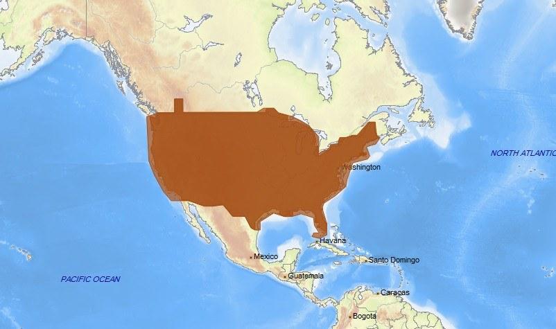 C-MAP NA-N040: US Lakes: Continental MAX-N Wide