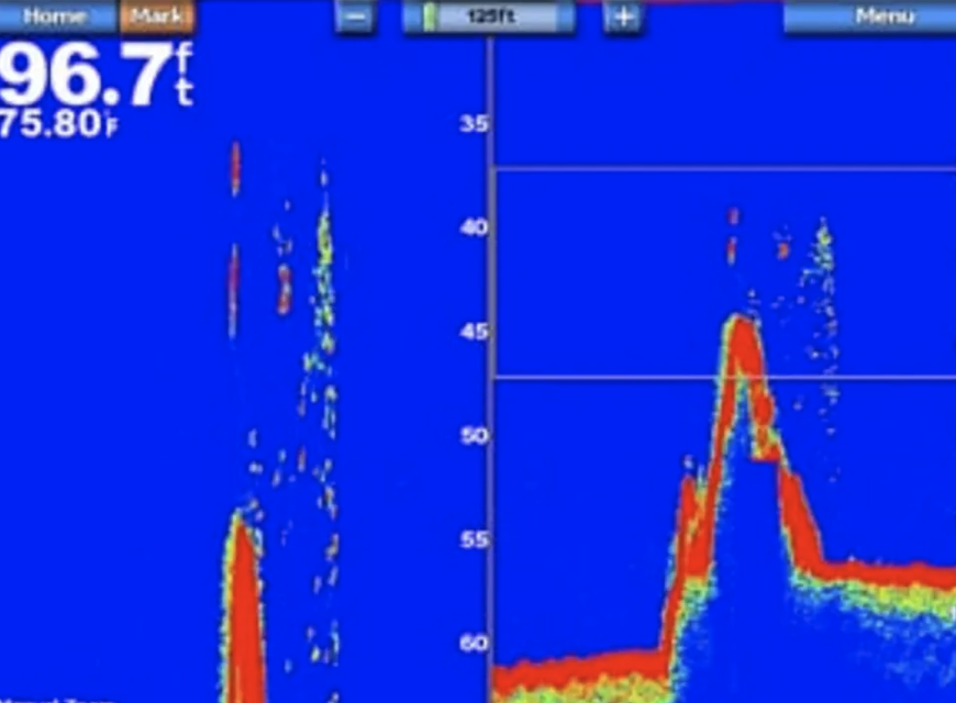 Garmin GSD 24 Advanced Sonar Module