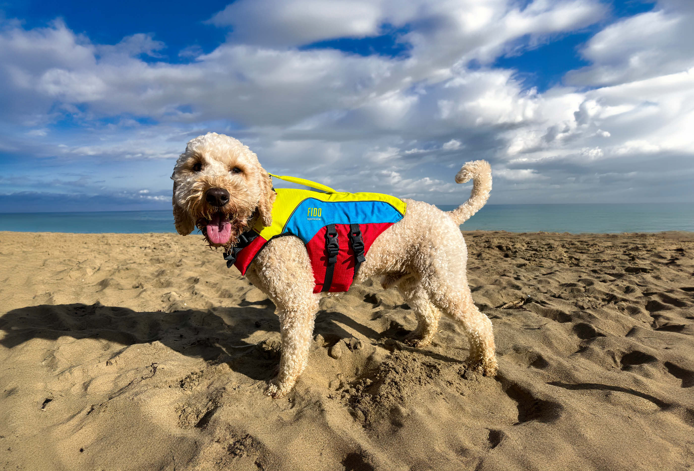 FIDO | Spinlock