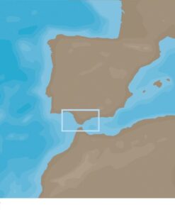 MAX-N+ : Local