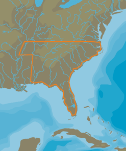 C-MAP NA-Y074 - US. Lakes: South East - MAX-N+ - AMER - Lake Insight HD