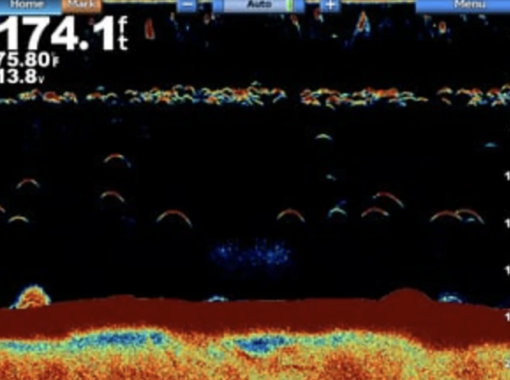 Garmin GSD™ 24 Advanced Sonar Module - Image 5