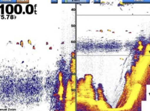 Garmin GSD™ 24 Advanced Sonar Module - Image 3