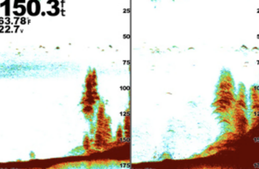Garmin GSD™ 25 Advanced Sonar Module - Image 5